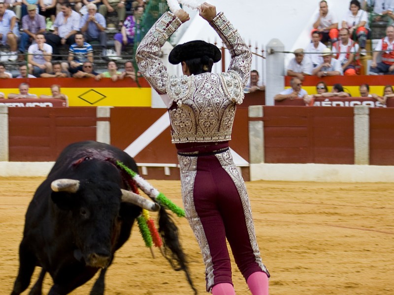 Sometimes you get the Bull and Sometimes…