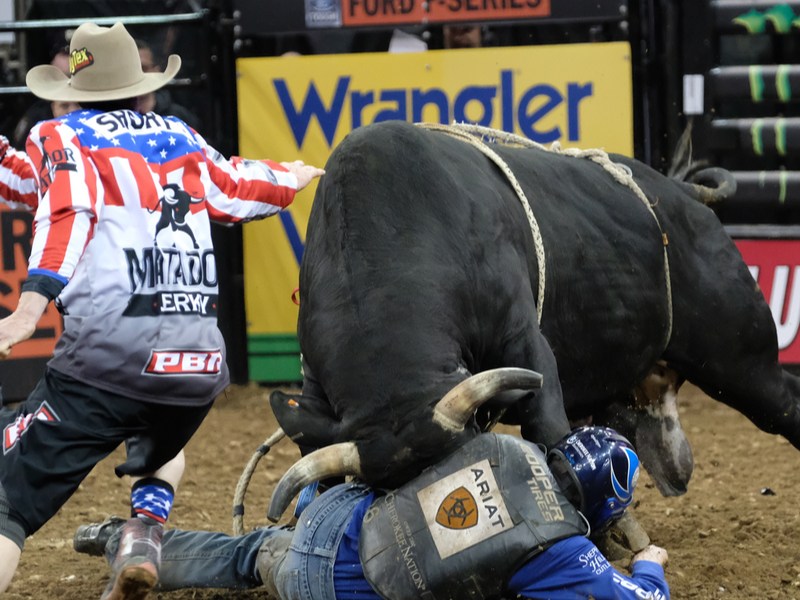 …You Get the Horns Part&nbsp;2